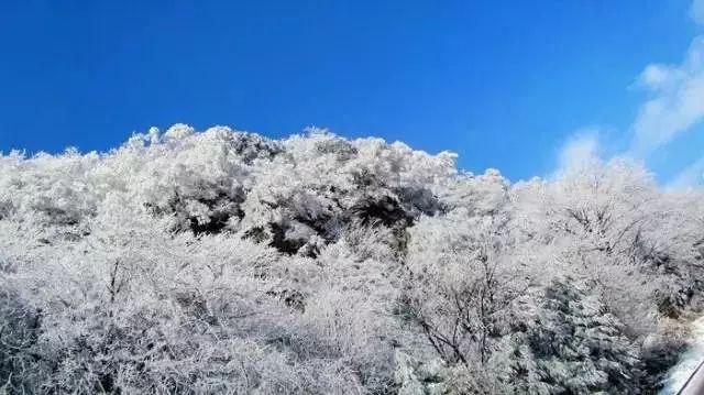 逃离声望森林