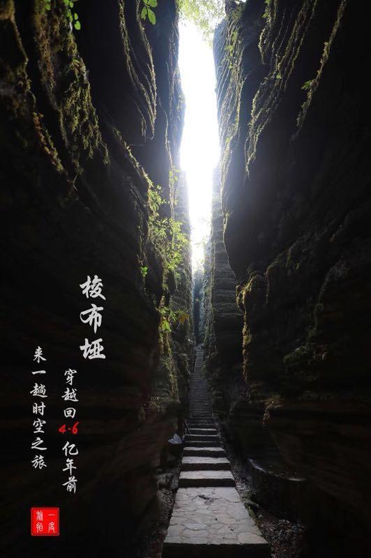 怎么把小鹦鹉从繁殖箱里拿出来不让大鹦鹉生气？
