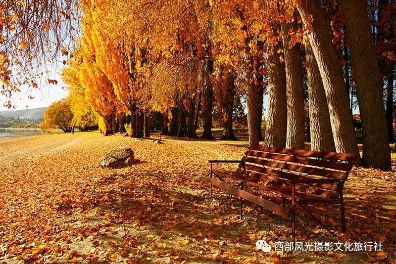 逃离空的老房子