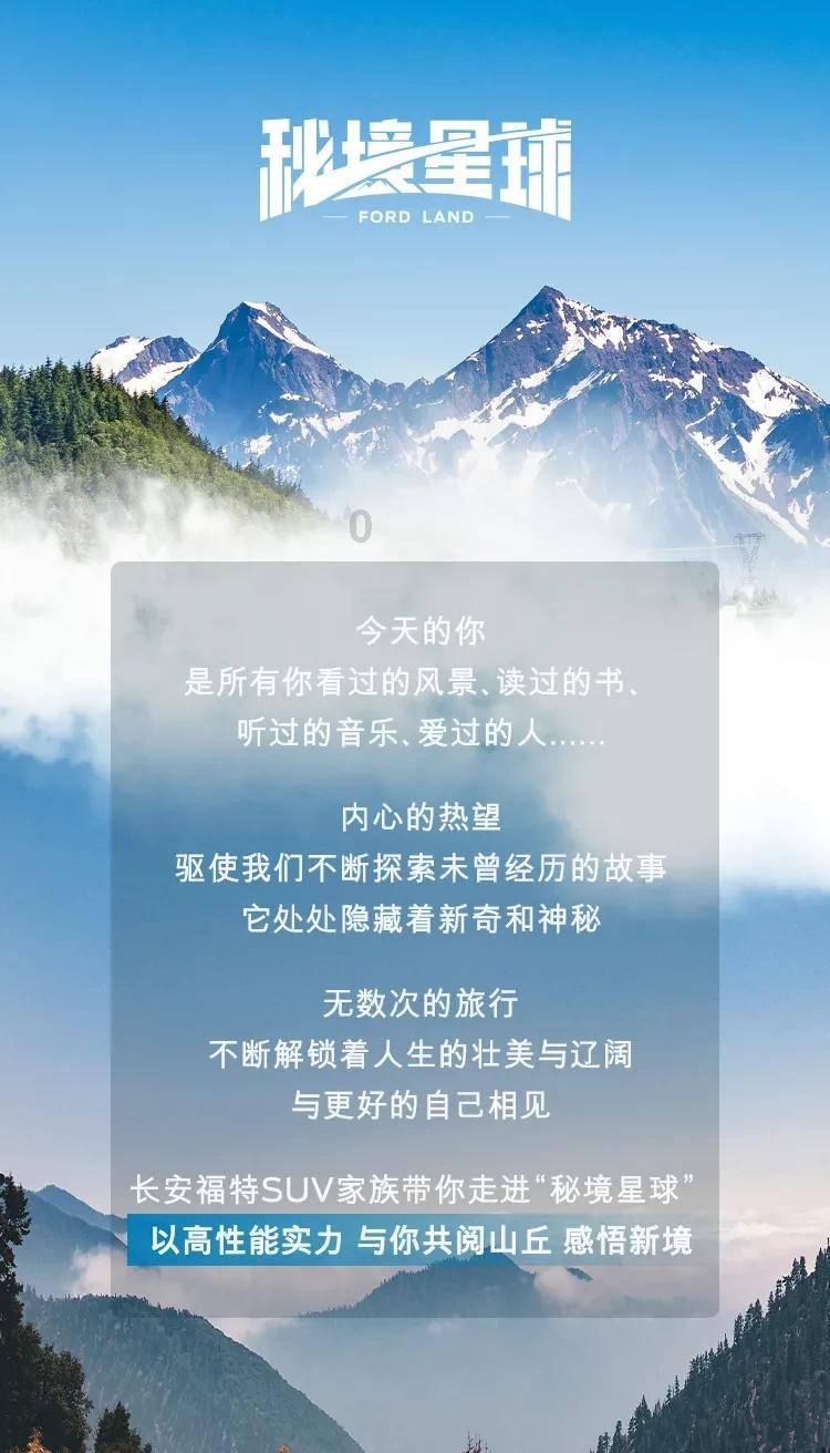 创作猫