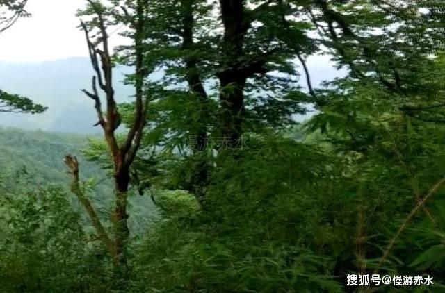 趣味沙滩球