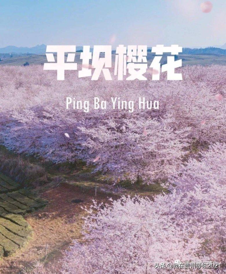 潮人篮球