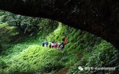动物帮帮忙保卫家园