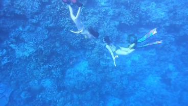 大无名森林逃生