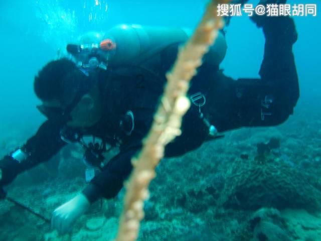 美人有计
