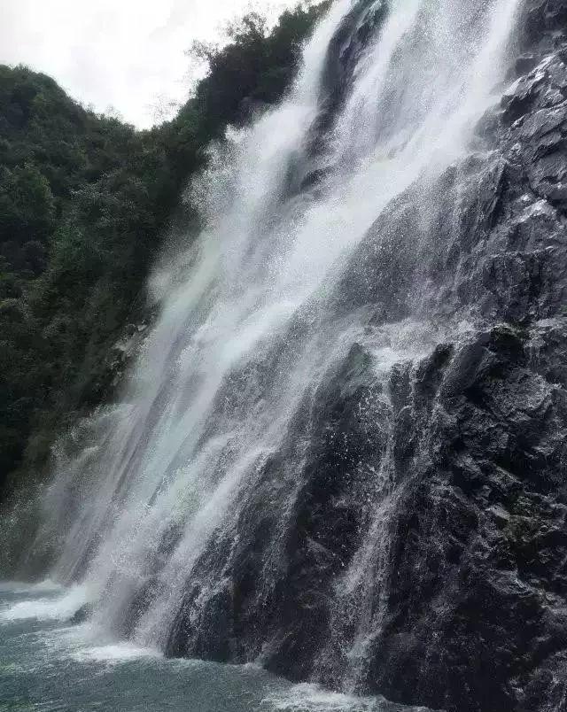 救援小老鼠