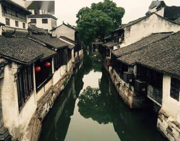 救援受困的小恐龙