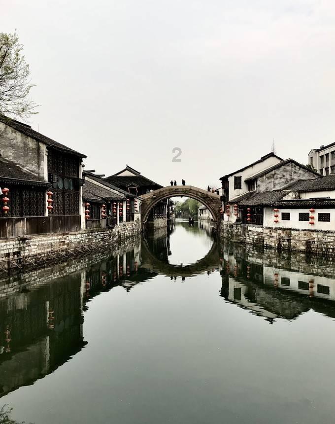 救援贪玩的大象