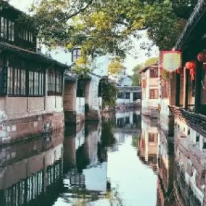 春雨直播app
