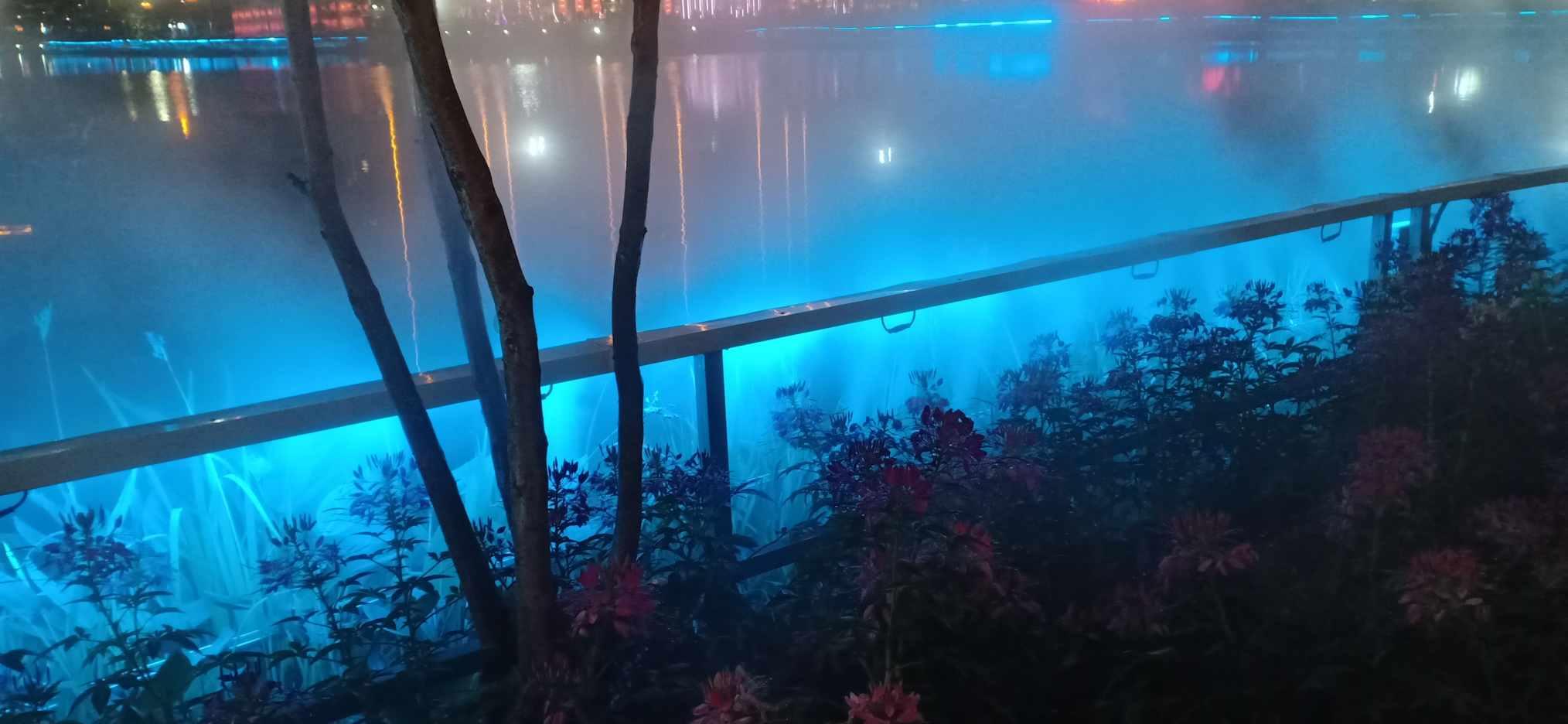 大学生为什么选择延迟毕业？